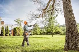 Best Storm Damage Tree Cleanup  in Fort Campbell North, KY